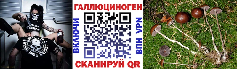 магазин продажи   Пестово  Галлюциногенные грибы Magic Shrooms 